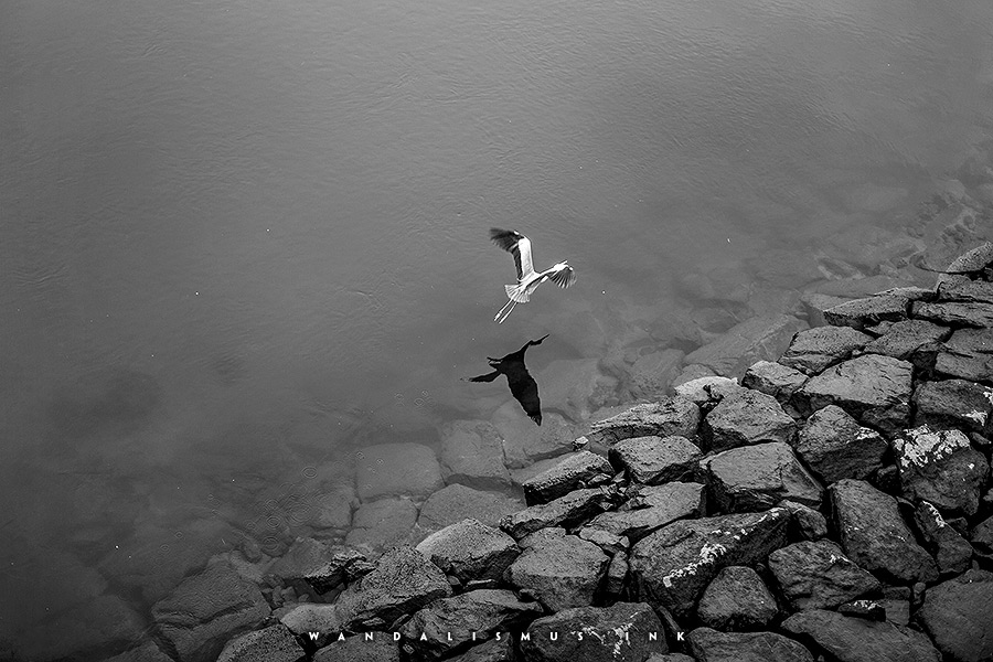 Crane in Hiroshima, Japan 2016 © Wanda Proft, WANDALISMUS.INK