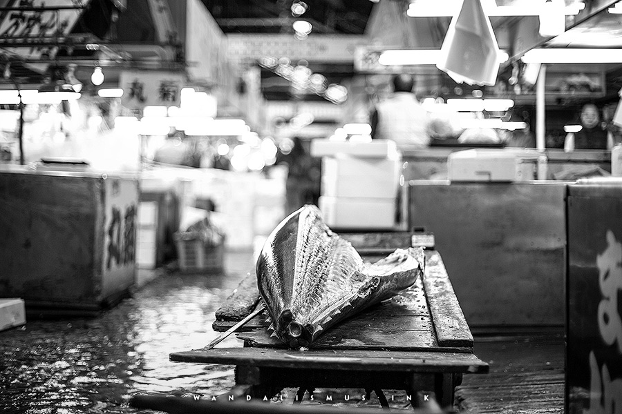 Tuna, Tsukiji Fishmarket Tokyo Japan 2016 © Wanda Proft, WANDALISMUS.INK